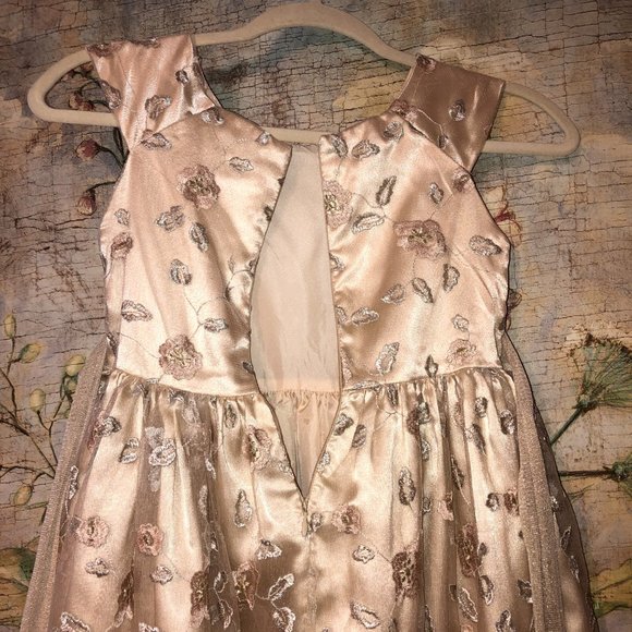Sz 8 Jenny & Me Embroidered Floral Champagne Dress Flower Girl First Communion - Picture 10 of 15